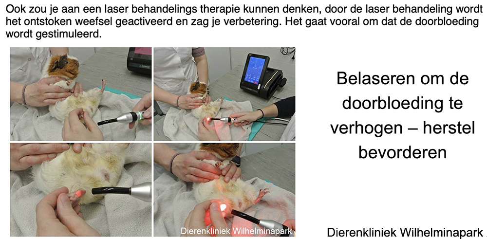 Een bumblefoot belaseren